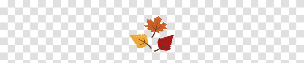 Leaf, Plant, Tree, Maple Leaf Transparent Png