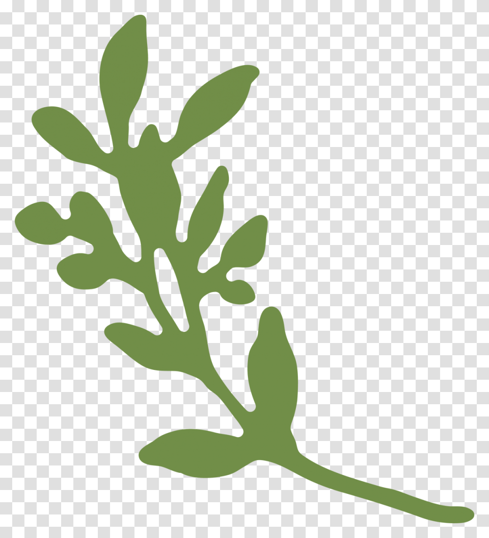 Leaf, Plant, Vase, Jar, Pottery Transparent Png