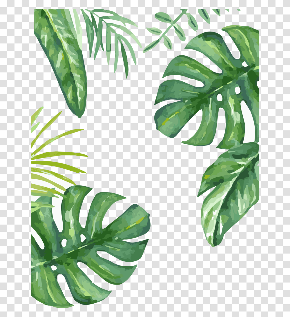 Leaf, Plant, Vegetation, Fern, Tree Transparent Png
