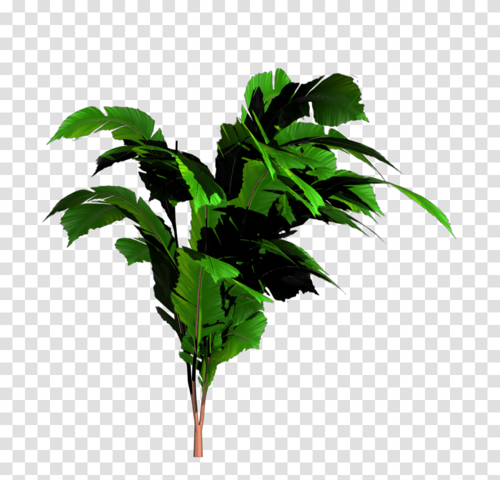 Leaf, Plant, Vegetation, Tree Transparent Png