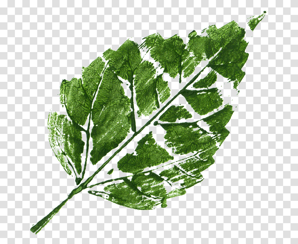 Leaf Print Hd Images Free Download, Plant, Green, Vase, Jar Transparent Png
