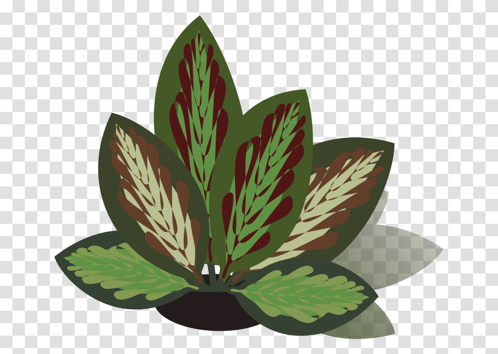 Leaf Red Clover, Plant, Potted Plant, Vase, Jar Transparent Png