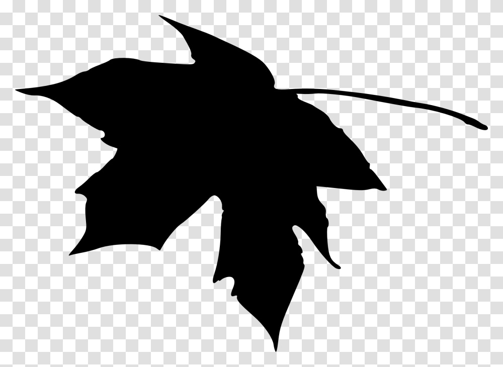 Leaf Silhouette, Plant, Person, Human, Maple Leaf Transparent Png