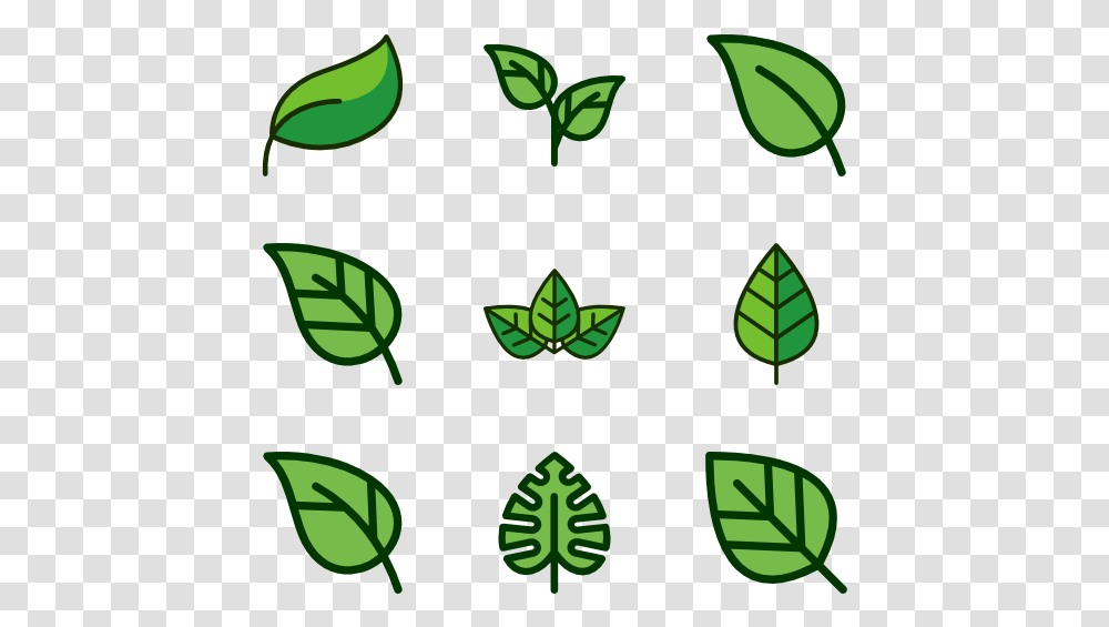 Leaf Simple Leaf Vector Art, Green, Plant, Pattern Transparent Png