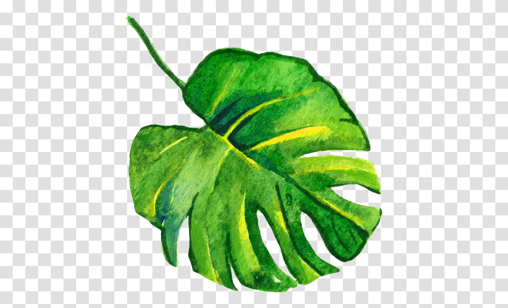 Leaf Spring Freetoedit Tropical Watercolor Leaves, Plant, Veins, Animal, Green Transparent Png