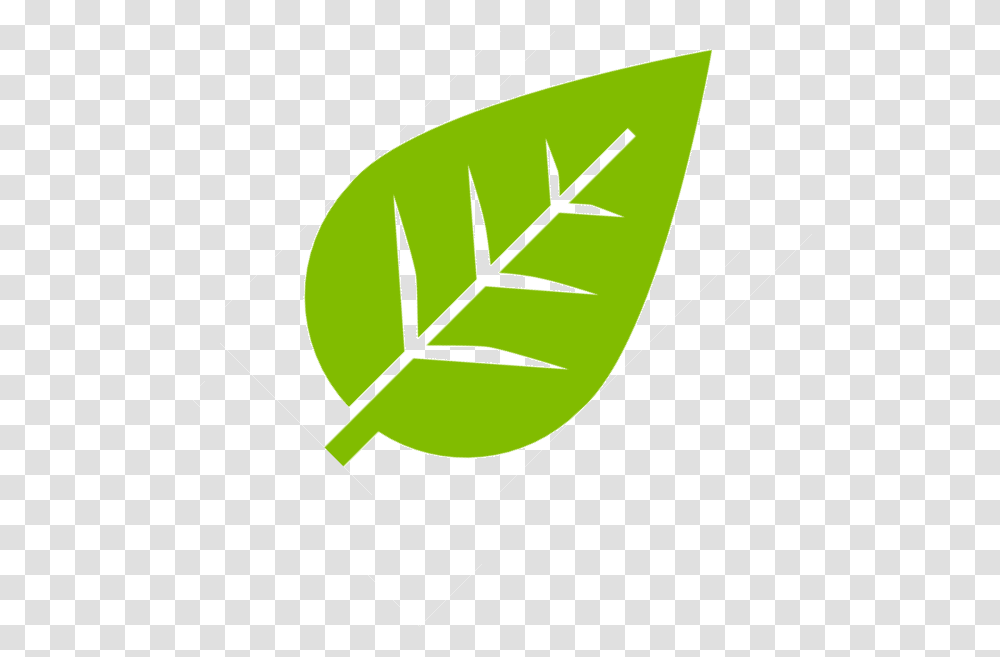 Leaf Sustainability Green, Plant, Dynamite, Bomb, Weapon Transparent Png