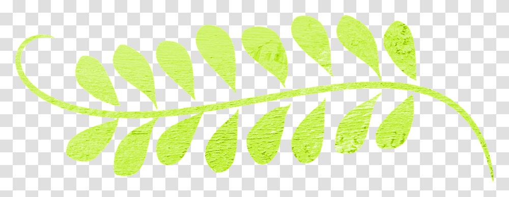 Leaf Swirl Wallpaper, Plant, Green, Fern, Pattern Transparent Png