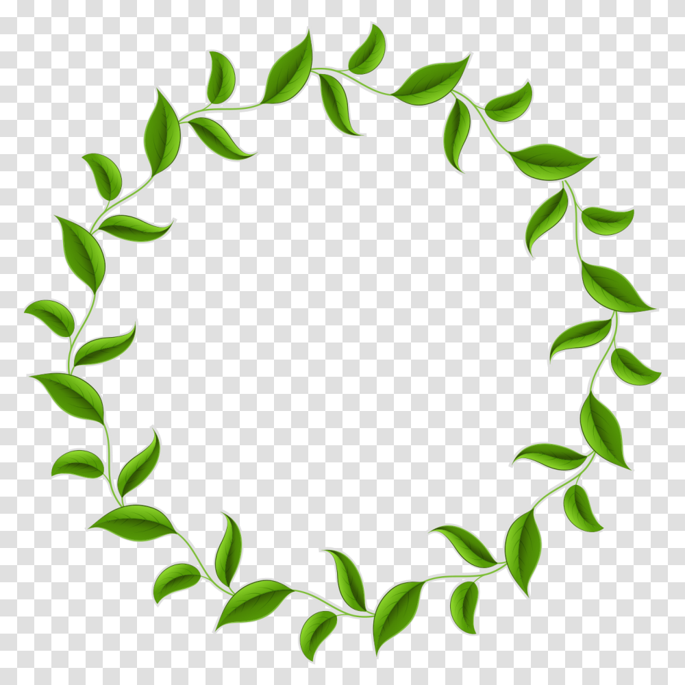 Leaf Tea Wreath Vector Green Circle Border Clipart Leaf Circle Border, Plant, Flower, Blossom Transparent Png