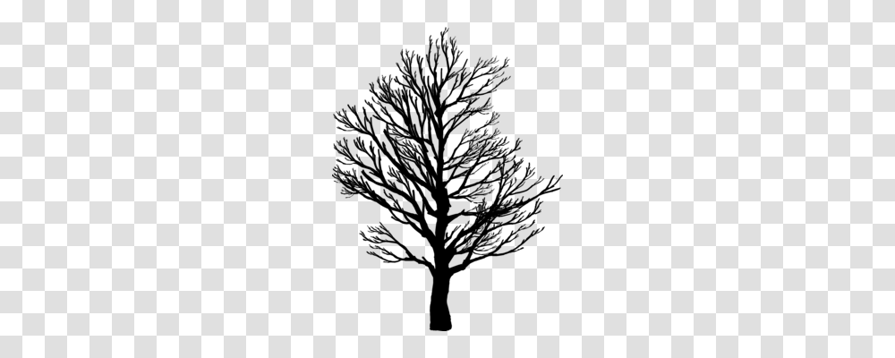 Leaf Tree Drawing Oak Branch, Gray, World Of Warcraft Transparent Png