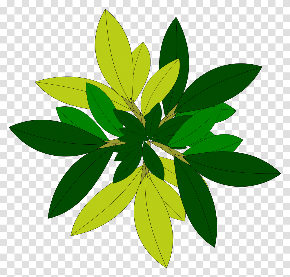 Leaf Tree Top View Free File Clipart Plant Top View Vector, Green, Pattern Transparent Png