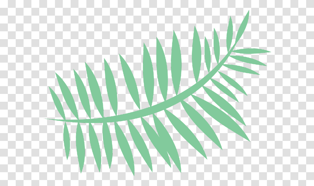 Leaf Tropical Summer Palm Palmleaf Cartoon Freetoedit Palm Leaf Cartoon, Plant, Fern, Flower, Blossom Transparent Png