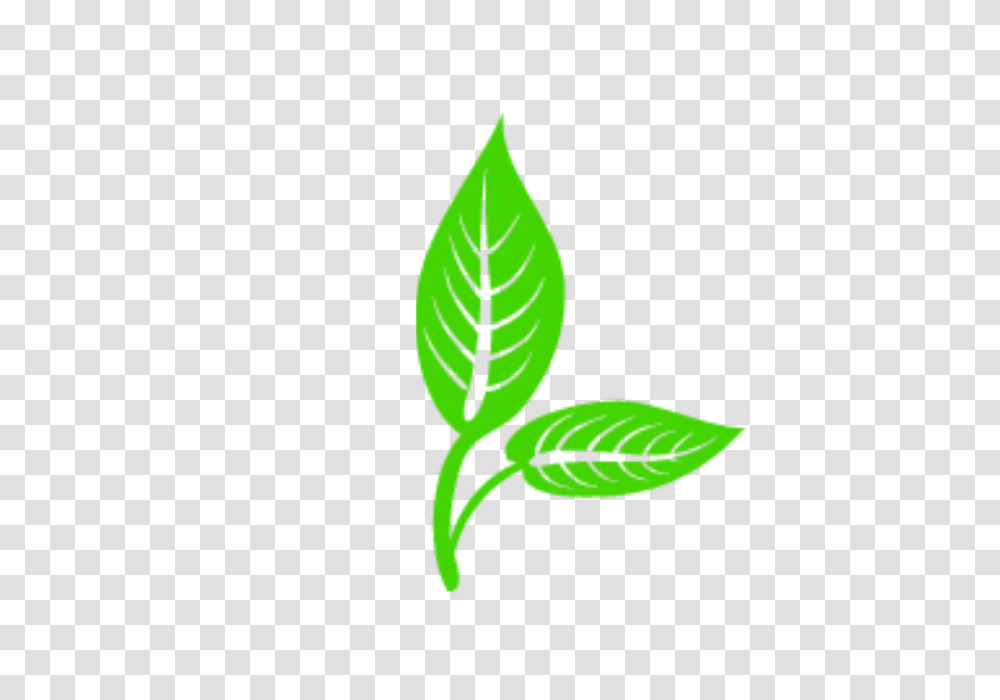 Leaf Vector Clip Art Cartoon Leaf Vector Logo Leaf, Plant, Trademark, Green Transparent Png