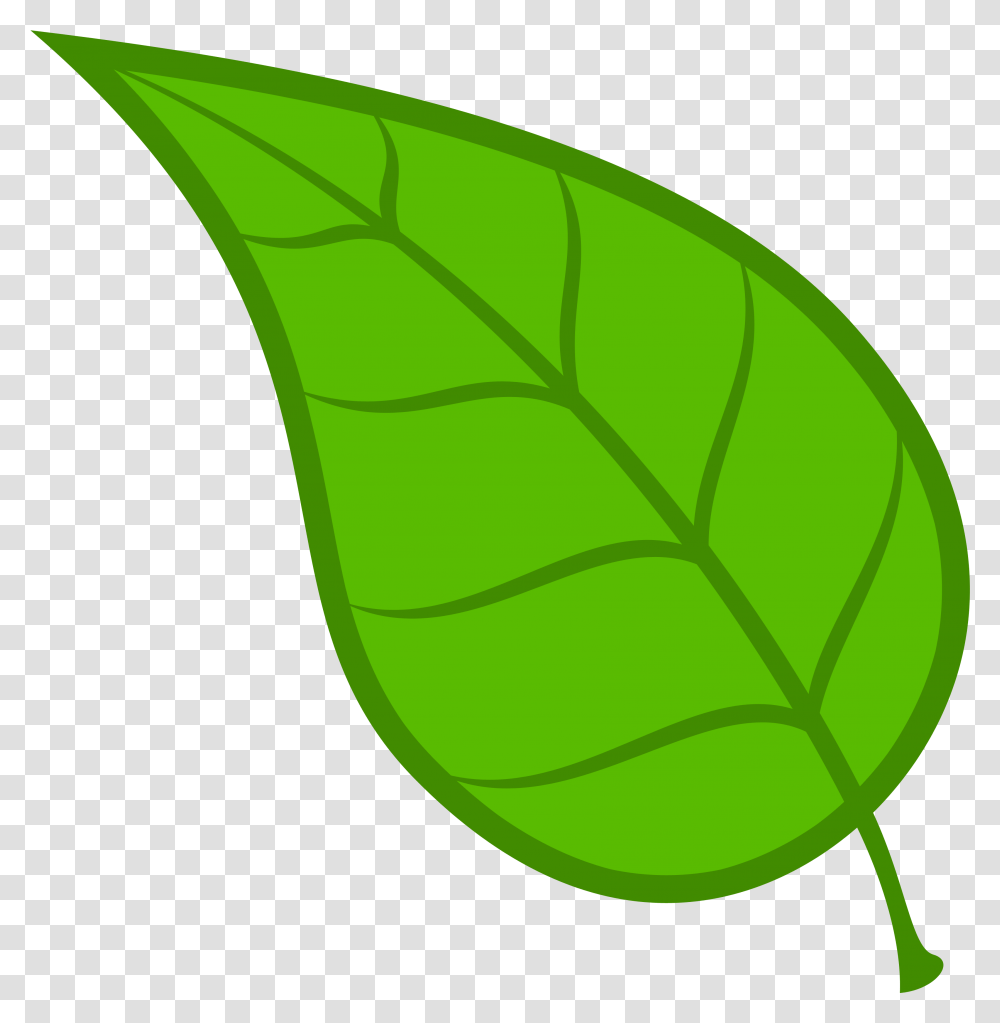 Leaf Vector Clipart Library Clipart Leaf, Plant, Tennis Ball, Sport, Sports Transparent Png