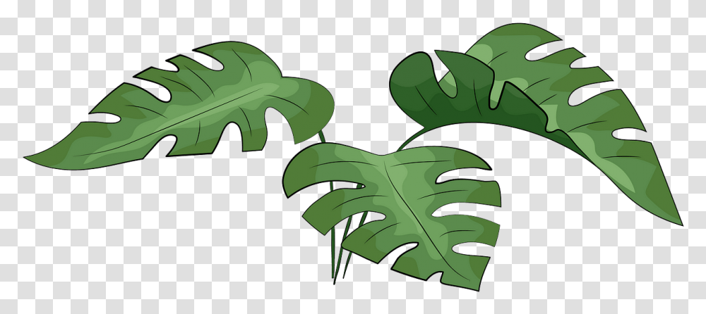 Leaf Vector Monstera, Green, Plant, Shoe, Footwear Transparent Png