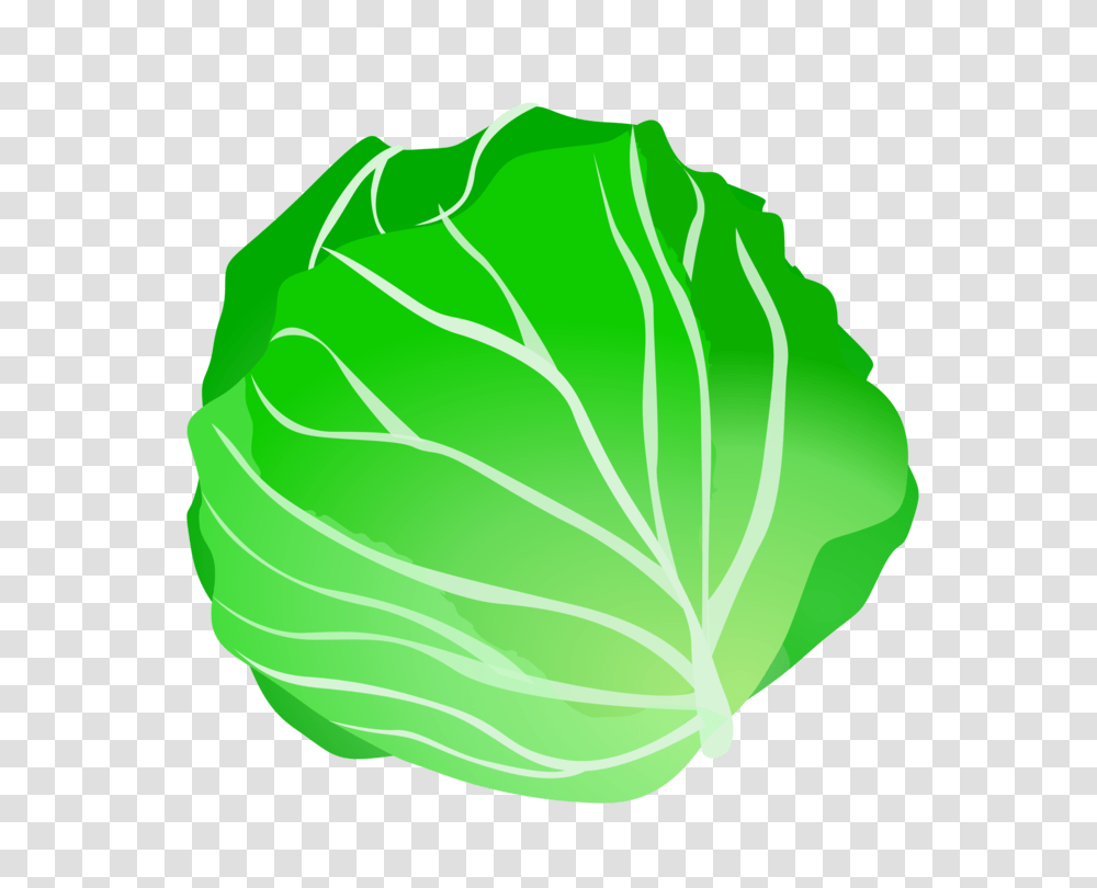 Leaf Vegetable Cabbage Iceberg Lettuce Fruit, Plant, Food, Head Cabbage, Produce Transparent Png