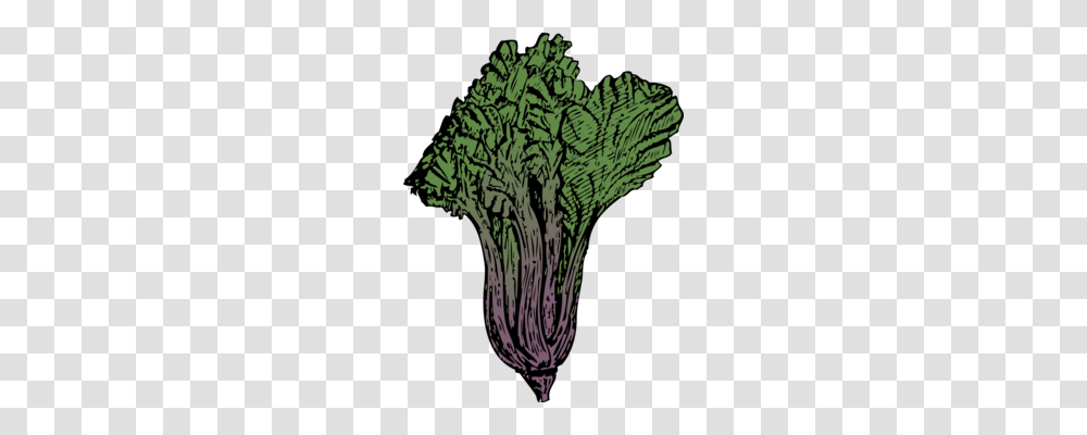 Leaf Vegetable Kale Cabbage Spinach, Plant, Food, Broccoli, Bird Transparent Png