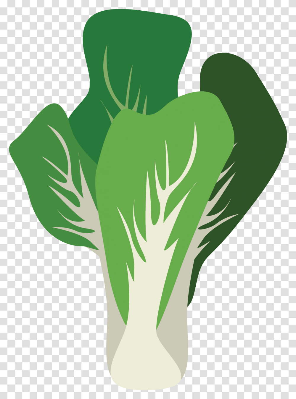 Leaf Vegetable, Plant, Food, Produce, Leek Transparent Png