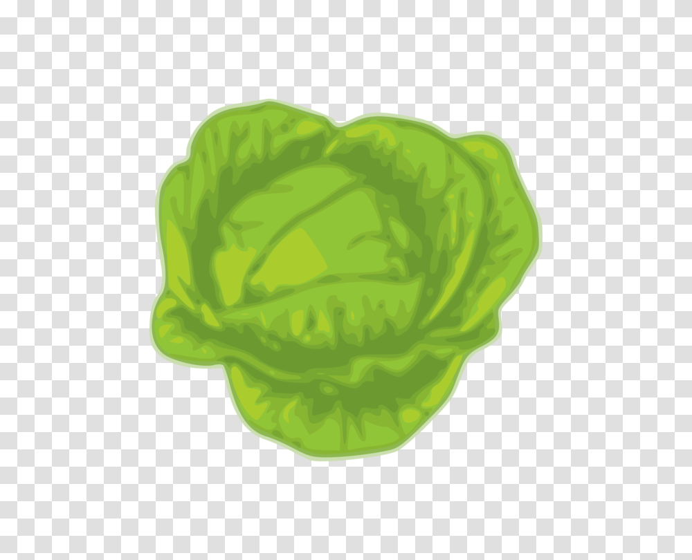 Leaf Vegetable Wikimedia Commons Cabbage Download, Plant, Food, Lettuce, Produce Transparent Png