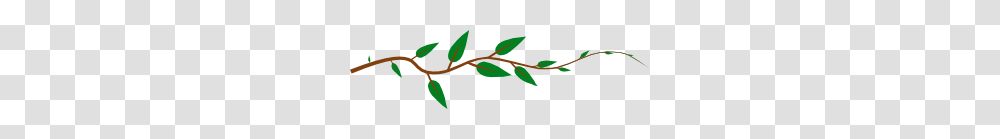 Leaf Vine Clip Art, Plant, Logo, Fruit Transparent Png