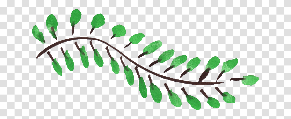 Leaf Vol 5 Onlygfx Com Twig, Plant, Tree, Fern, Green Transparent Png
