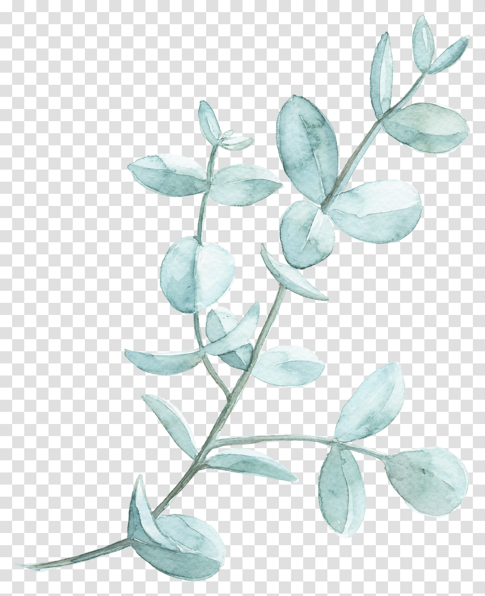 Leaf Watercolor Painting Clip Art Green Leaves Watercolor, Plant, Acanthaceae, Flower, Blossom Transparent Png