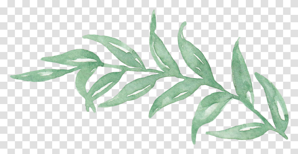 Leaf Watercolor, Plant, Jar, Flower, Blossom Transparent Png