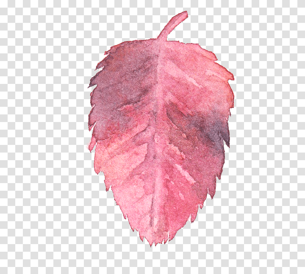 Leaf Watercolor, Veins, Plant Transparent Png