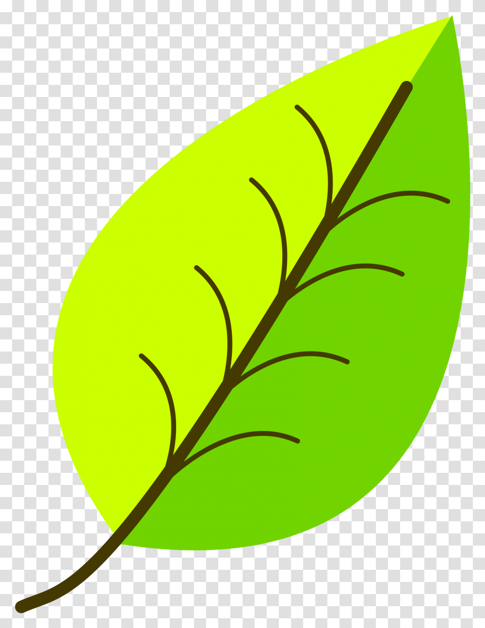Leaf With Venation Two Color, Plant, Green, Tennis Ball, Sport Transparent Png