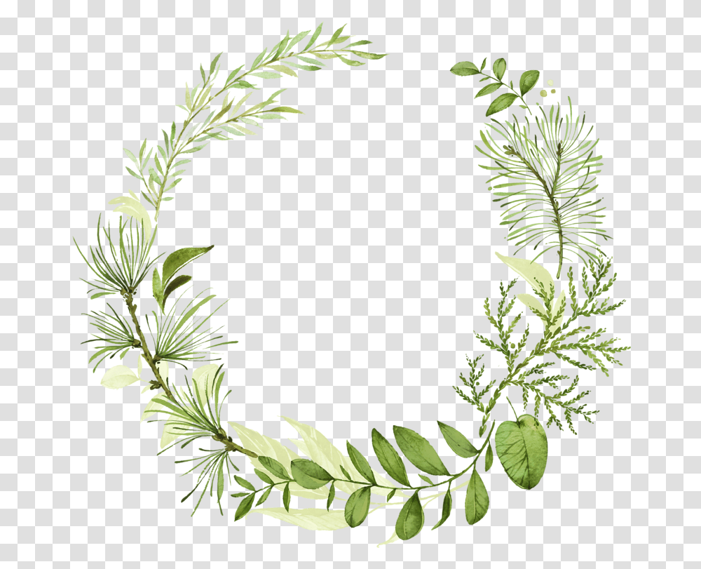 Leaf Wreath, Tree, Plant, Conifer, Potted Plant Transparent Png