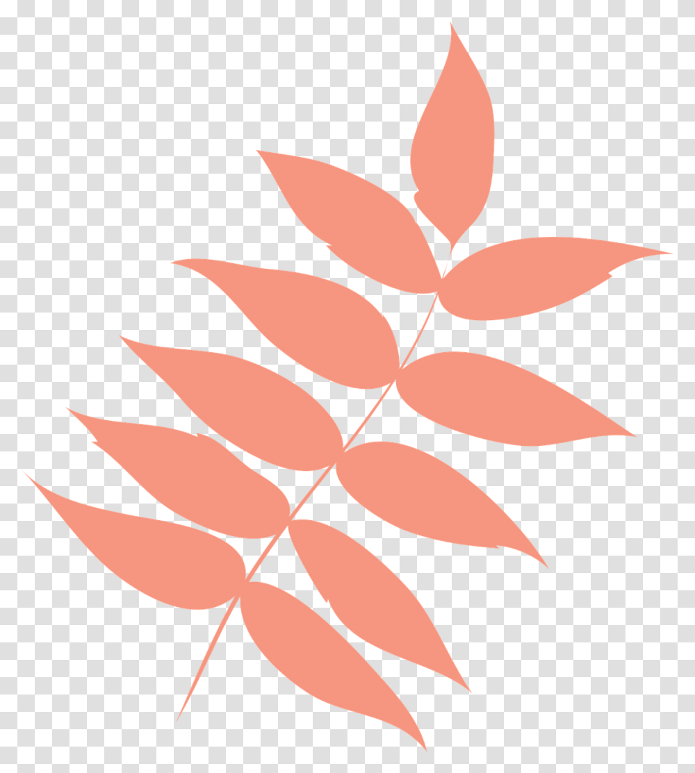 Leafautumn Leafdry Leafleaf Leavesthe Palettebranchautumn Black And White Leaf Clipart, Plant, Painting, Seed, Grain Transparent Png