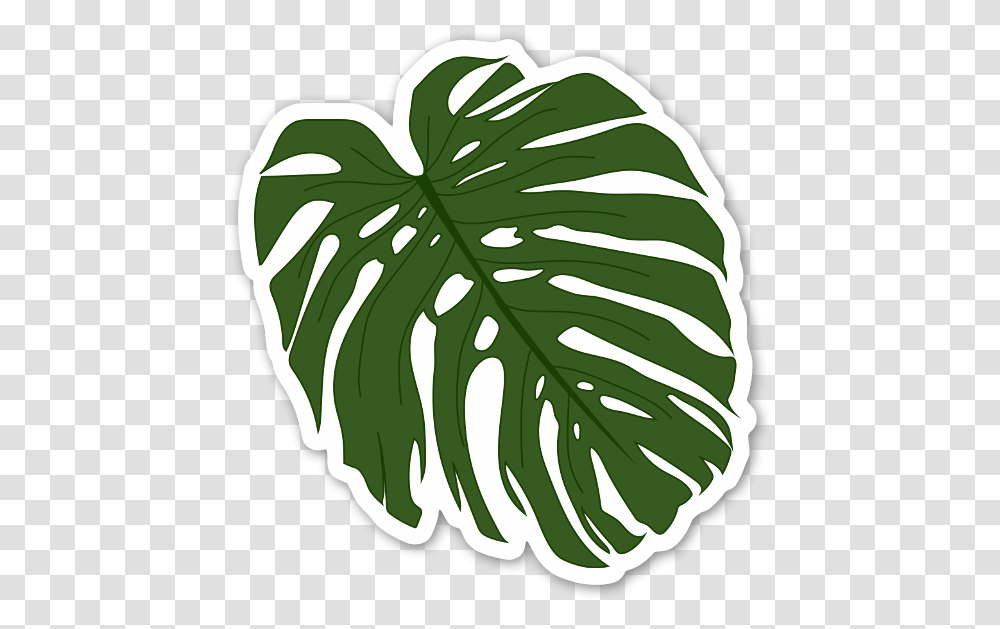 Leafgreenmonstera Deliciosaplantline Artblack Palm Leaf Leaf Sticker, Veins, Food, Droplet, Fruit Transparent Png