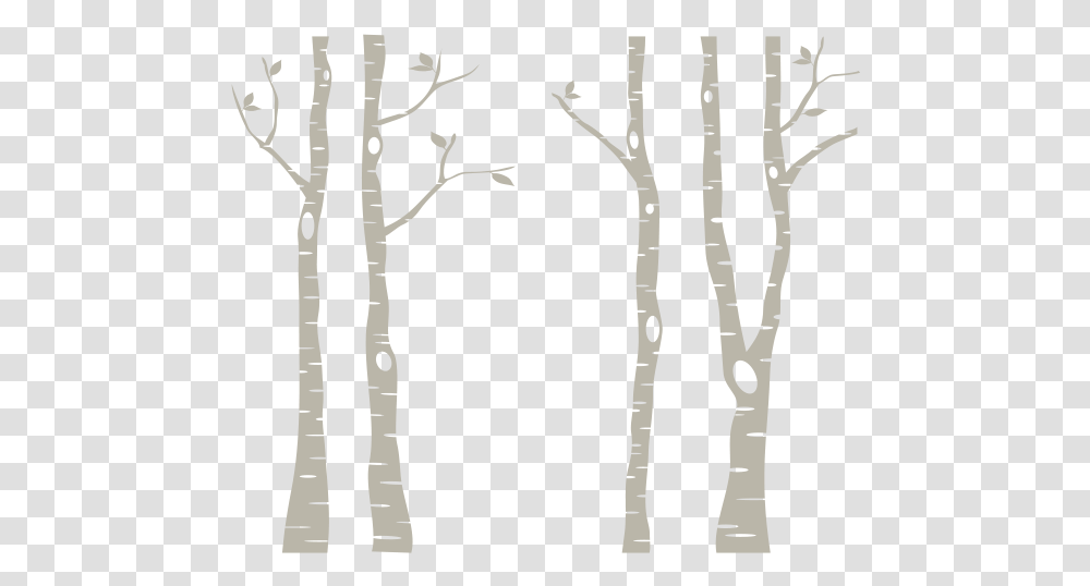 Leafless Tree Birch Tree Clipart, Plant, Text, Tree Trunk, Silhouette Transparent Png