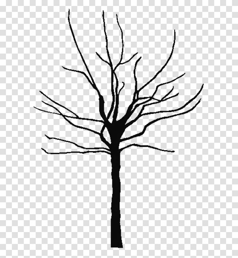 Leafless Tree Coloring, Plant, Silhouette, Tree Trunk, Maple Transparent Png