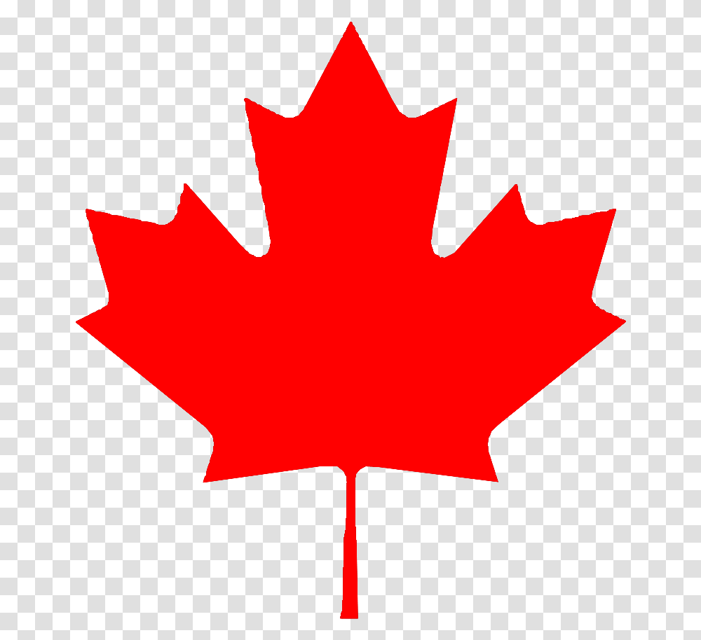 Leafmaple Leaftreeredwoody Plantplantplaneblack Canada Flag, Person, Human Transparent Png