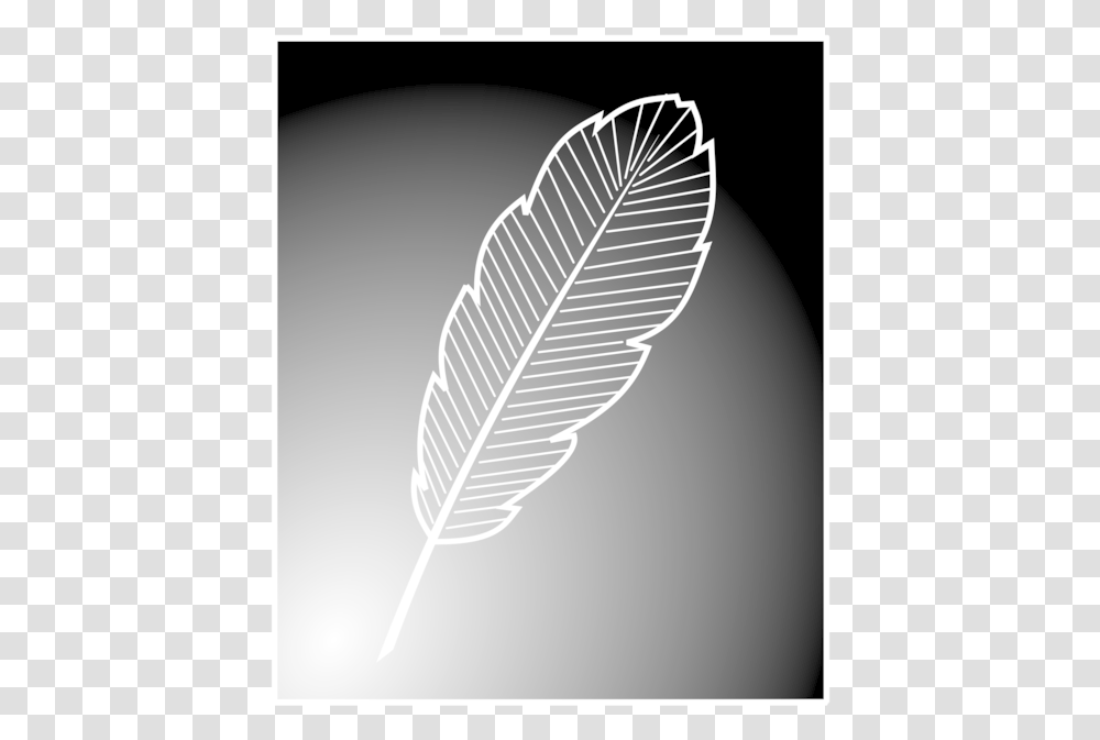 Leafmonochrome Photographymonochrome Floating Feather Free, Plant, Drawing Transparent Png