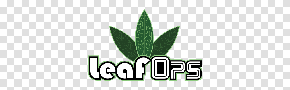 Leafops, Plant, Green, Potted Plant, Vase Transparent Png