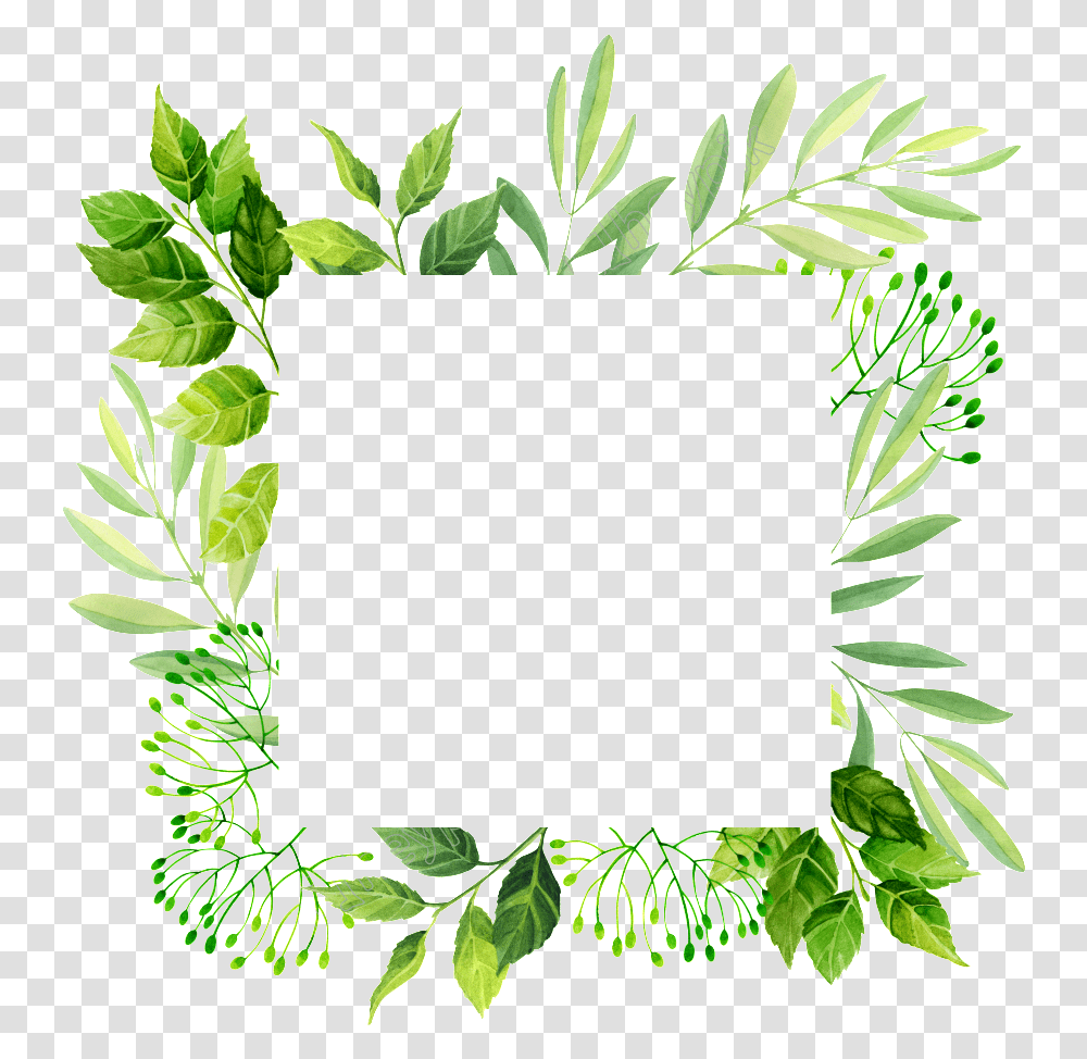 Leafplantherbline Artflowerclip Art Free Frame Template Leaves, Green, Wreath, Jar, Potted Plant Transparent Png