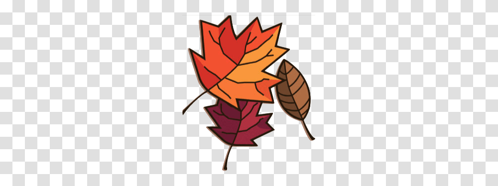 Leafs Clipart, Plant, Maple Leaf, Tree Transparent Png