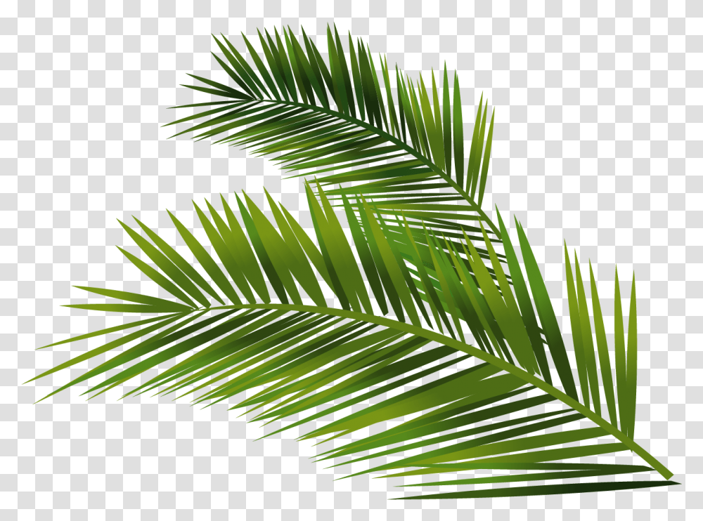Leafs Vector Palm Palm Leaf Full Size Download Palm Leaf Palm Vector, Plant, Green, Tree, Vegetation Transparent Png