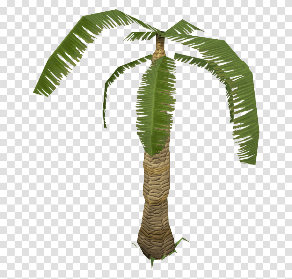 Leafy Palm Tree Roystonea, Plant, Arecaceae, Bird, Animal Transparent Png
