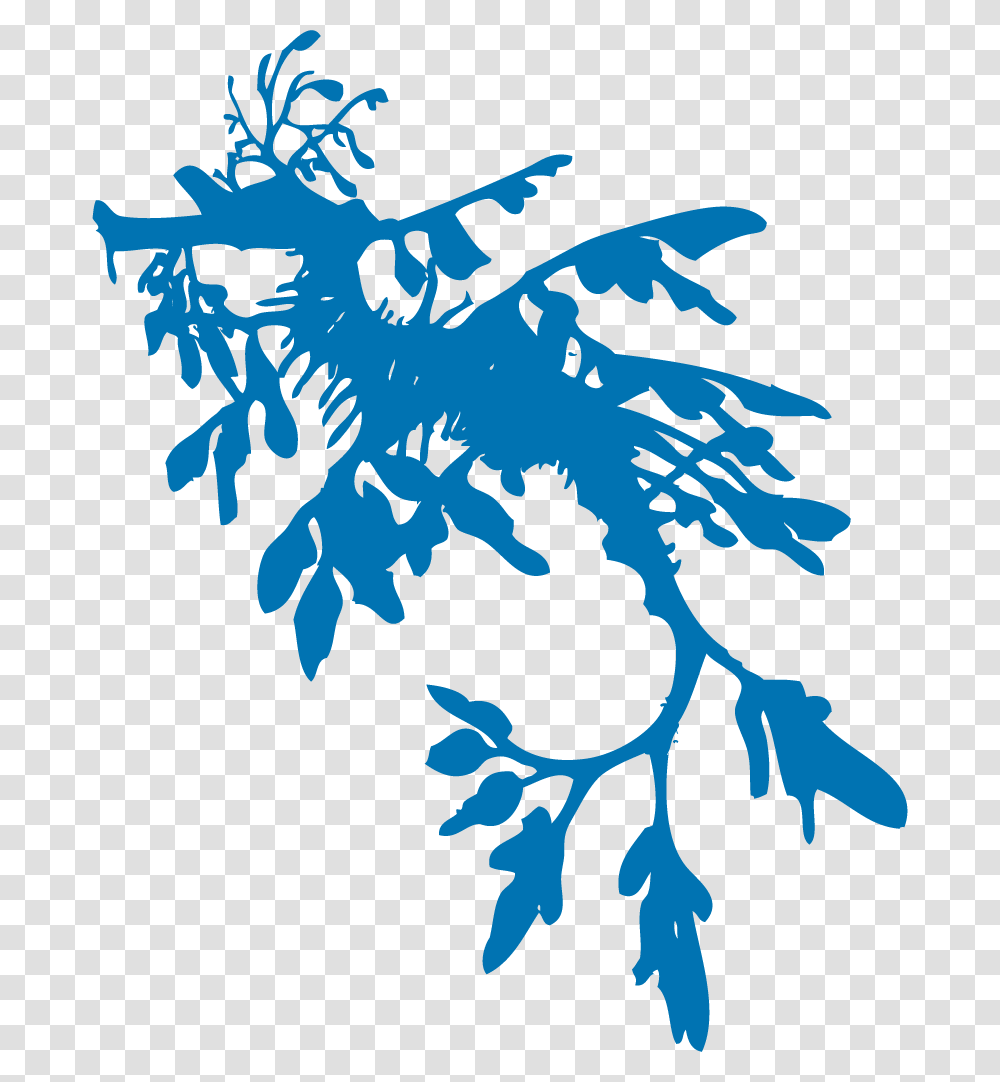 Leafy Sea Dragon Art, Water, Nature, Outdoors, Silhouette Transparent Png