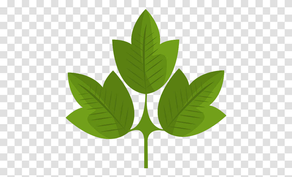 Leafy Tree Icon Canva Theme For Water Save, Plant, Green, Veins ...