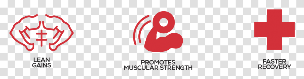 Lean Muscle Gain Icon, Alphabet, Ampersand Transparent Png