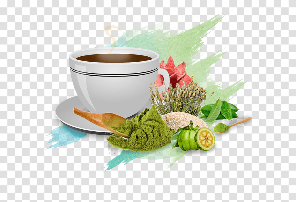 Lean N Green Lean N Green Slimming Coffee, Coffee Cup, Beverage, Drink, Tea Transparent Png