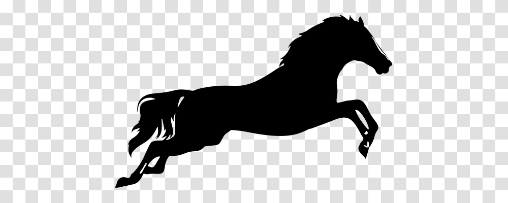 Leaping Animals, Gray, World Of Warcraft Transparent Png