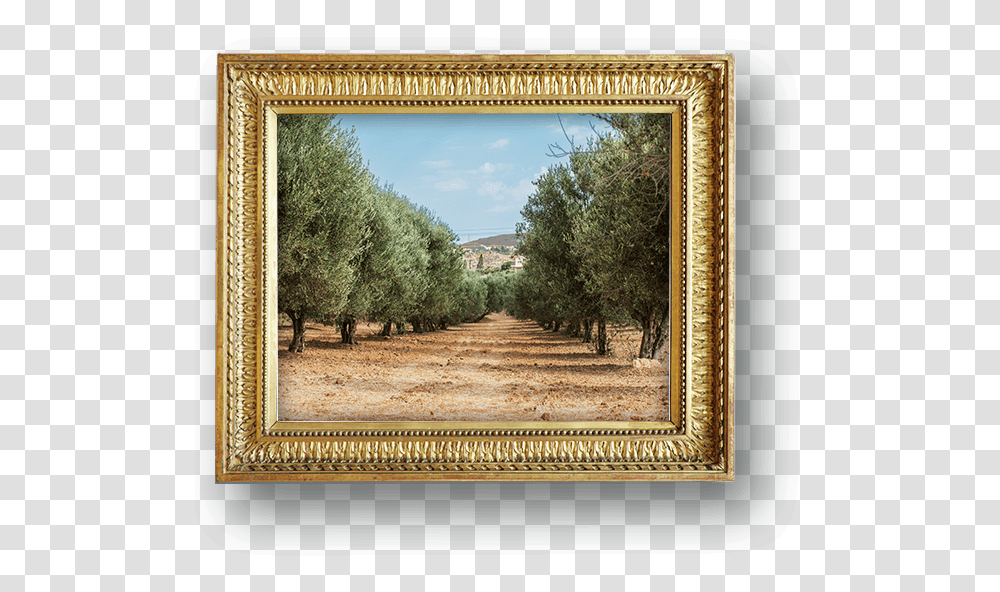 Learn Carapelli, Painting, Plant, Tree Transparent Png