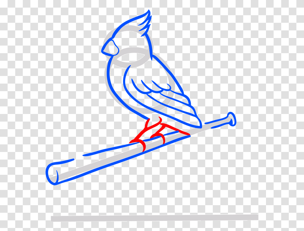 Learn Easy To Draw St St Louis Cardinals Logo, Bird, Animal, Lawn Mower, Tool Transparent Png