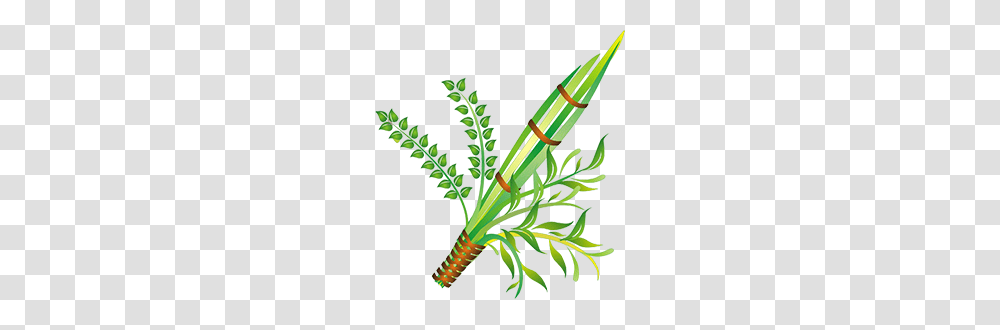 Learn Hebrew Pod, Plant, Bamboo, Arrow Transparent Png