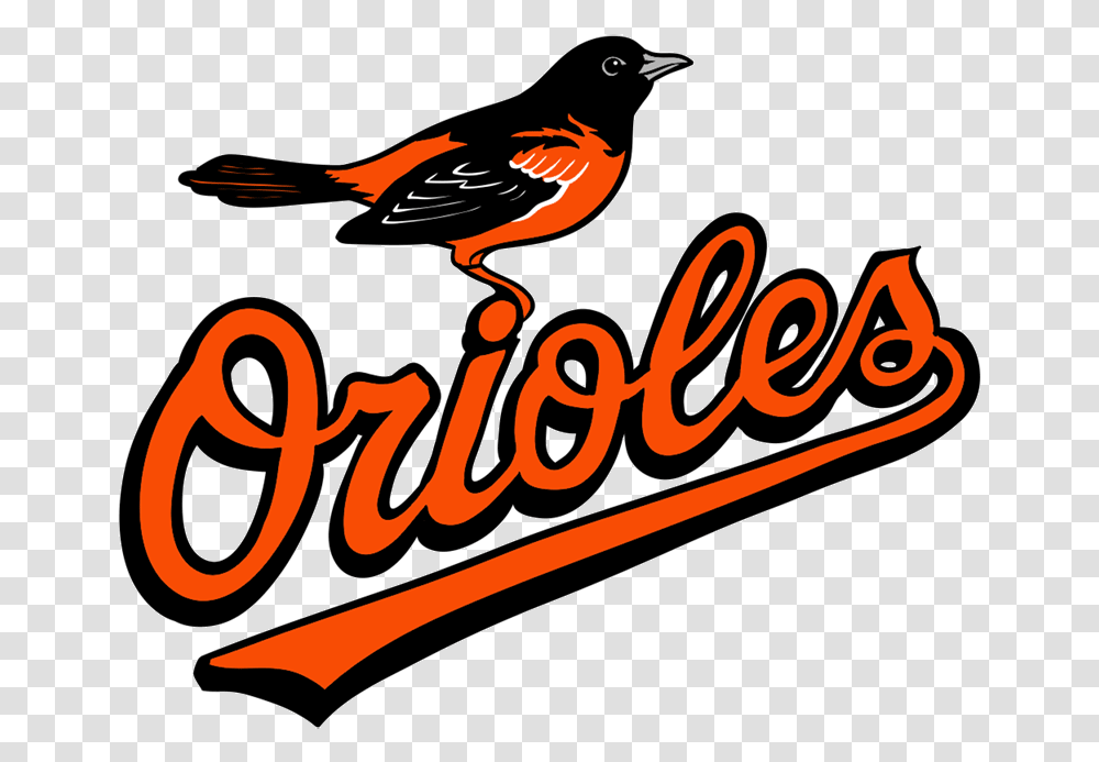 Learn How To Draw Baltimore Orioles Logo Easy To Draw Baltimore Orioles Logo, Bird, Animal, Text, Dynamite Transparent Png