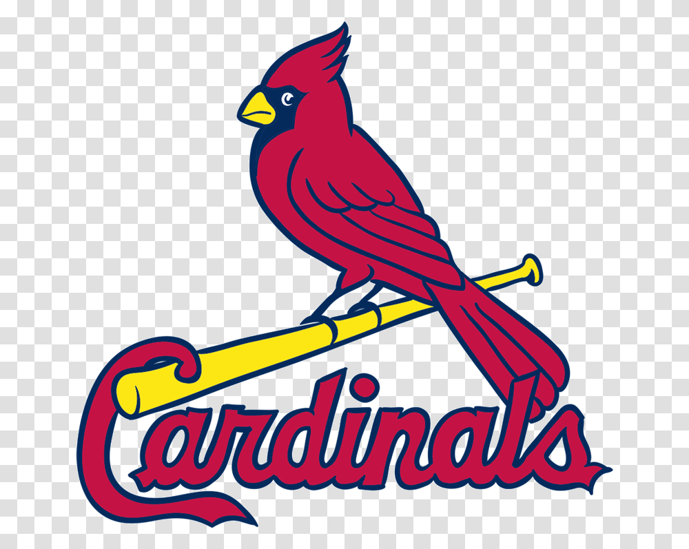 Learn How To Draw St Louis Cardinals Logo Easy To Draw Vector St Louis Cardinals Logo, Animal, Bird, Jay, Symbol Transparent Png